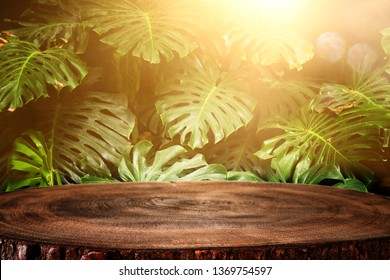 Wooden Table In Front Of Tropical Green Monstera Leaves Floral Background. For Product Display And Presentation