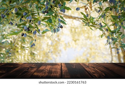 Wooden table on the background of olive trees and a farm garden. Summer rustic food product background. Eco, natural, farming concept - Powered by Shutterstock