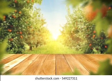 wooden table place of free space for your decoration and orange trees with fruits in sun light  - Shutterstock ID 549227311