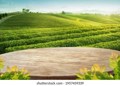 Wooden table top with blurry tea plantation landscape against blue sky and blurred green leave frame Product Display stand natural background concept - Shutterstock ID 1957459339