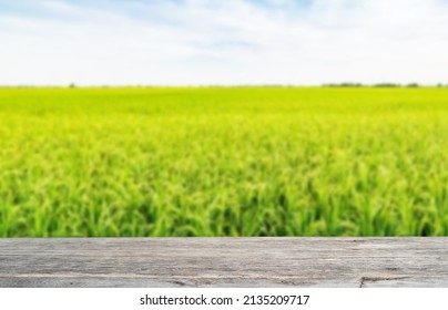 4,420 Layout rice Images, Stock Photos & Vectors | Shutterstock