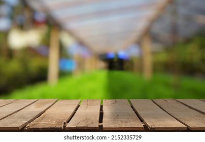 Wooden table top on blur plant vegatable or fruit organic farm background.For place food,drink or health care business.fresh landscape and relax season concept.View of copy space.