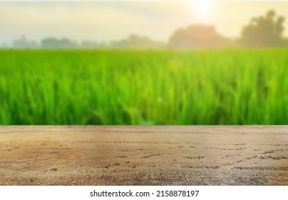 4,420 Layout rice Images, Stock Photos & Vectors | Shutterstock