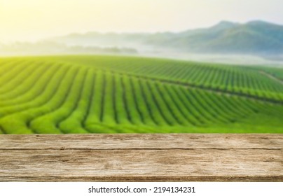 Wooden Table Top On Blur Green Tea Mountain And Grass Field.Fresh And Relax Concept.For Montage Product Display Or Design Key Visual Layout.View Of Copy Space.