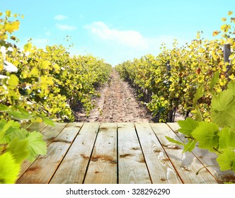 Wooden Table With Vineyard