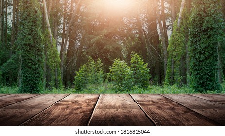 Wooden table in the woods, sleepy light. Empty wooden table top on nature background.