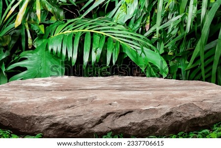 Wooden tabletop on a boulder placed among an exotic jungle