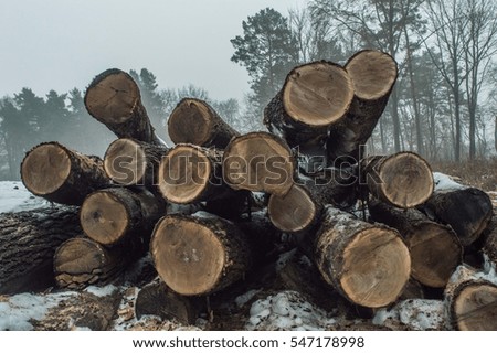 Similar – Holz vor der Hütte Umwelt