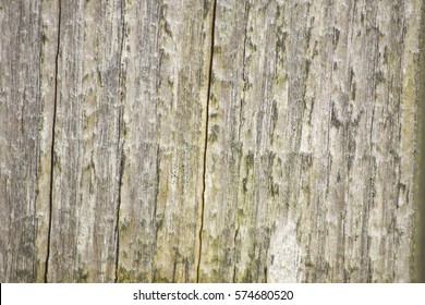 Wooden Texture Background Grain Knot Details Stock Photo 574680520 ...