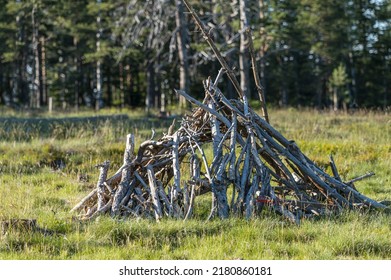 Wooden Timber Tent Close Up In The Forest For Survival Adventure On Divcibare