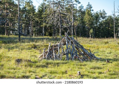 Wooden Timber Tent In The Forest For Survival Adventure On Divcibare