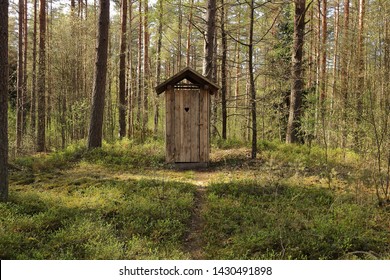 Wooden toilet in the forest / pine grove.