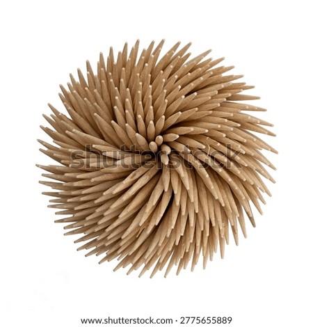Wooden toothpicks sharp pointed small thin sticks of wood. Top view on white background.