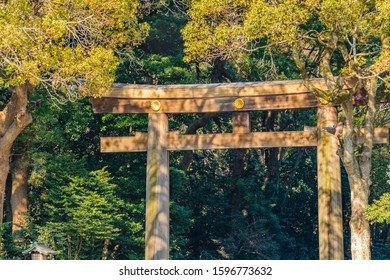 Wooden Tori Gate At Entrance Park In Harajuku, Tokyo, Japan