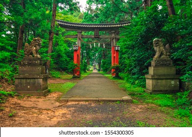 Wooden Torii gate with guardian lion dog statues of a Shinto shrine (translation: Ushio Shrine)