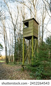 wooden tower or observation tower to watch birds or deers in the forest , in this case in the forest near bad bentheim in germany
