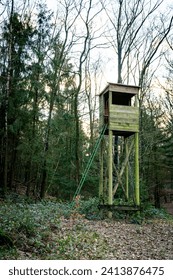 wooden tower or observation tower to watch birds or deers in the forest , in this case in the forest near bad bentheim in germany