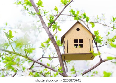 Wooden Toy House Placed On A Blooming Tree In Early Spring. Home Remodeling Season Concept.