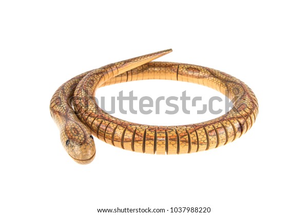 wooden-toy-snake-on-white-600w-1037988220.jpg