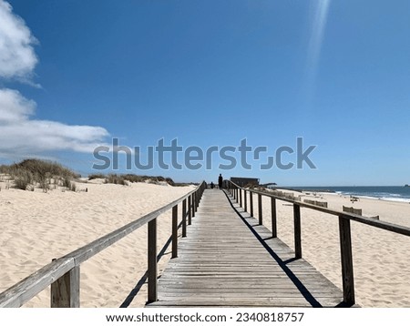 Wooden trail and the dunes near the ocean. Boardwalk leading to an empty beach. Decked pathway to the beach on Island, Wooden walkway through dune and pine forest. wood path to the beach. Wooden Footb