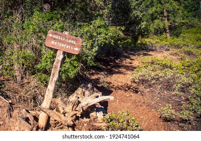 Wooden Trail Sign In Bryce Canyon