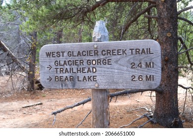 Wooden Trail Sign In The Forest.