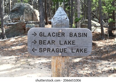 Wooden Trail Sign In The Forest.