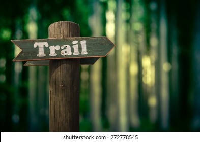 Wooden Trail Sign In A Forest For Hikers