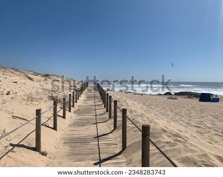 The wooden trail through the dunes , beach on a sunny day, blue sky, marinha beach in autumn, Sandy pathway entrance , Beach, nature and sea, beach on a sunny day, blue sky