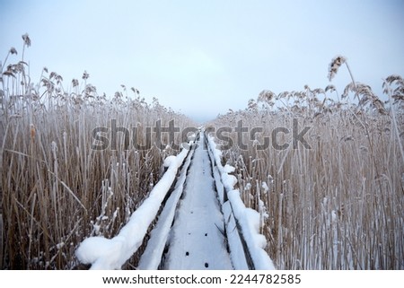 Similar – Image, Stock Photo Cuddly Horizon Sun Sunrise