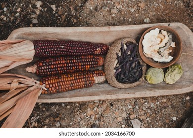 Wooden Tray With Typical Native American (Powhatan) Food And Ingredients Of The Past