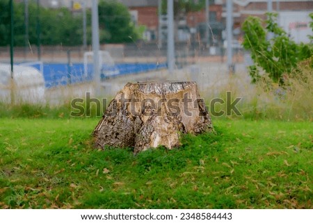 Wooden tree stump against industrial background