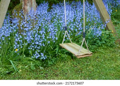 A Wooden Tree Swing Hanging With Nylon Rope And A Background Bush Of Vibrant Bluebell Flowers. Serene, Peaceful Private Home Backyard With Blue Scilla Siberica Plants Growing In Empty Tranquil Garden