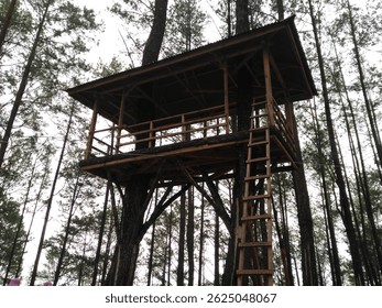 Wooden treehouse nestled among tall pine trees. A ladder leads up to the structure. - Powered by Shutterstock - Get 15% off with code: PIKWIZARD15