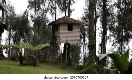 Wooden treehouse with thatched roof nestled among tall pine trees in a serene forest with green grass, lush foliage, and birds on the ground under an overcast sky. - Powered by Shutterstock - Get 15% off with code: PIKWIZARD15