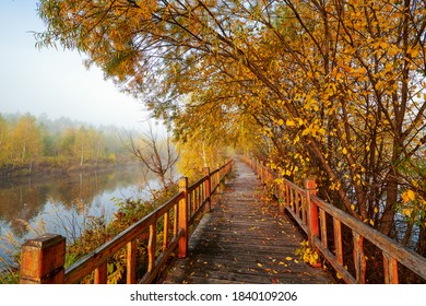 The wooden trestle in autumn forest. - Shutterstock ID 1840109206