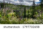 Wooden Trestle Bridge and Wildflowers in Myra Canyon on the abandoned Kettle Valley Railway of Myra Canyon near Kelowna, British Columbia, Canada