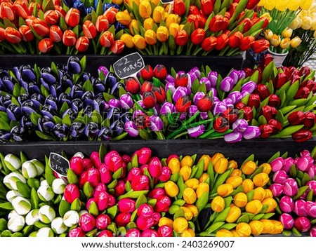 Wooden Tulipa flowers Amsterdam Market