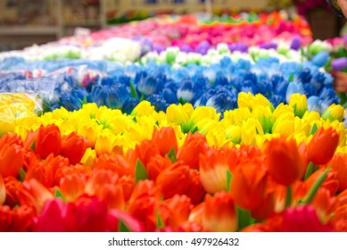 Wooden Tulips In Bloemenmarkt (Amsterdam)