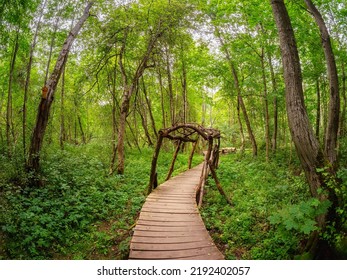 Wooden tunnel on the boardwalk. Wooden deck, eco trail without people, passing directly through the fancy deep green forest. Photo taken at wide-angle lens. - Shutterstock ID 2192402057