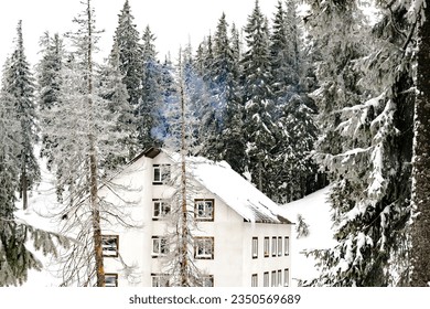 Wooden village rural house,mansion,hotel covered in snow,big icicles in winter forest mountains,Green high spruce pine trees,nature. Calm countryside. Home residence in coniferous trees.Eco concept