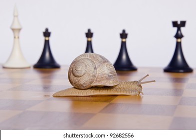 wooden vintage chessboard with snail and chessmans