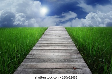 Wooden Walk Way In Middle Of A Grass Field During A Sunny Summer Day