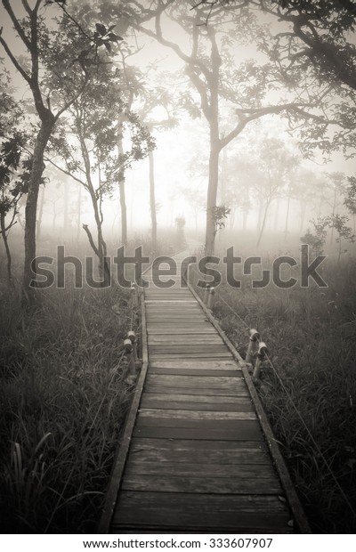 wooden walk way in wild with fog, monochrome,
alone, dark, fear,
lonely