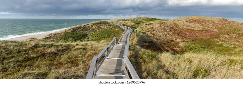 A wooden walking path in Wenningstedt on the island of Sylt, Schleswig-Holstein, Germany