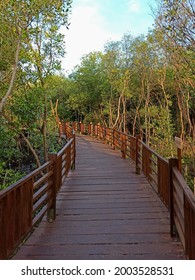 Wooden Walkpath Bridge At Mangrove Park Eco Tourism In Surabaya City Indonesia