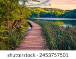 Wooden walkpath in Plitvice National Park. Splendid summer sunrise in green forest with pure water lake. Picturesque landscape of Croatia, Europe. Beauty of nature concept background.