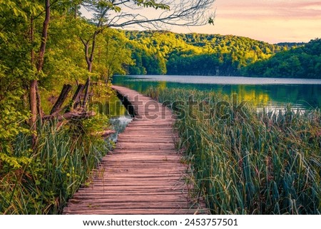 Similar – Image, Stock Photo Plitvice Lakes National Park is one of the oldest and largest national parks in Croatia. This photo is taken in July, 2023.