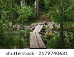 Wooden walkway across the stream in forest. Sorsakolu , Evo hiking area in Hameenlinna, Finland