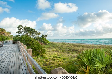 Wooden Walkway By Miami Beach, FL,USA